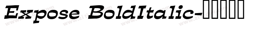Expose BoldItalic字体转换
